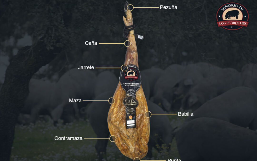 Partes de un jamón ibérico: cómo reconocerlas y disfrutarlas
